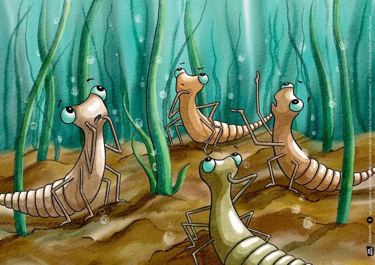 Produktbild: Von Larven und Libellen. Mit Kindern &uuml;ber den Tod und das Danach philosophieren. Kamishibai Bildkartenset
