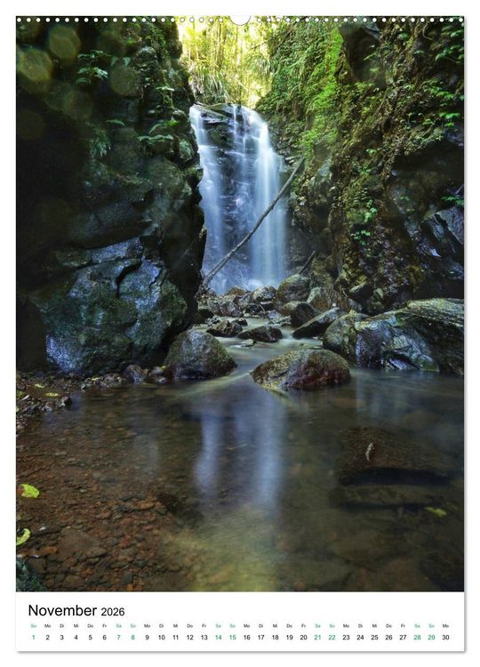 Produktbild: Regenwald - Australien (hochwertiger Premium Wandkalender 2026 DIN A2 hoch), Kunstdruck in Hochglanz