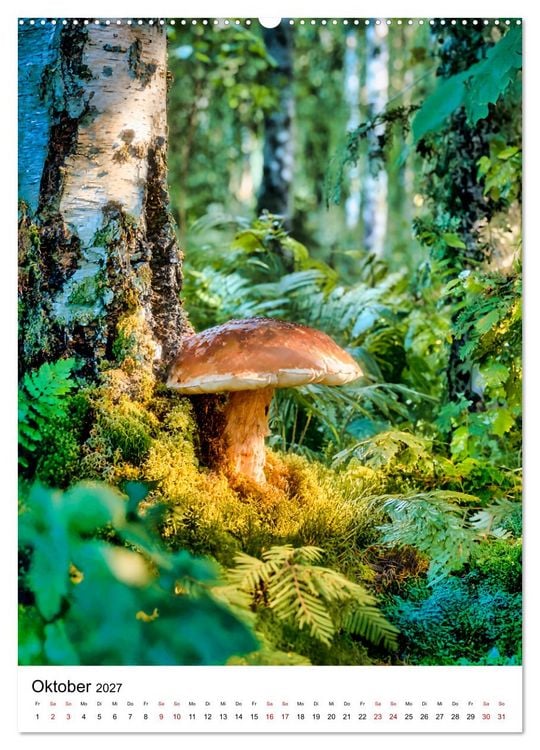 Produktbild: Pilzzeit - Leben auf dem Waldboden (Wandkalender 2027 DIN A2 hoch), CALVENDO Monatskalender