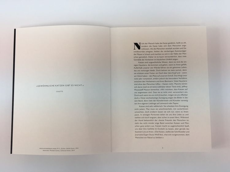 Produktbild: Katzen in der Kunst