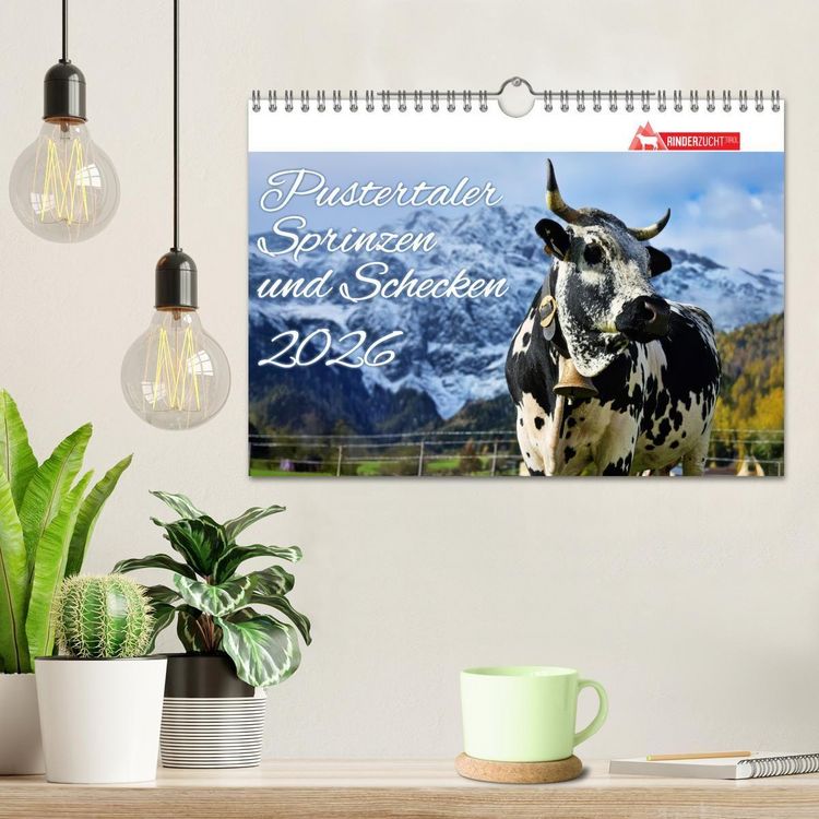 Produktbild: Pustertaler Sprinzen und Schecken 2026 (Wandkalender 2026 DIN A4 quer), CALVENDO Monatskalender
