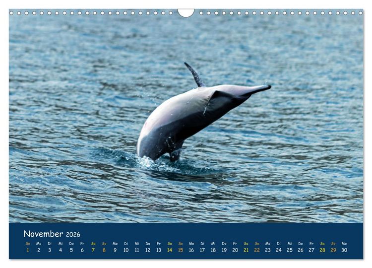 Produktbild: Faszinierende Tierwelt von Mauritius - Magische Momente der Natur (Wandkalender 2026 DIN A3 quer), CALVENDO Monatskalender