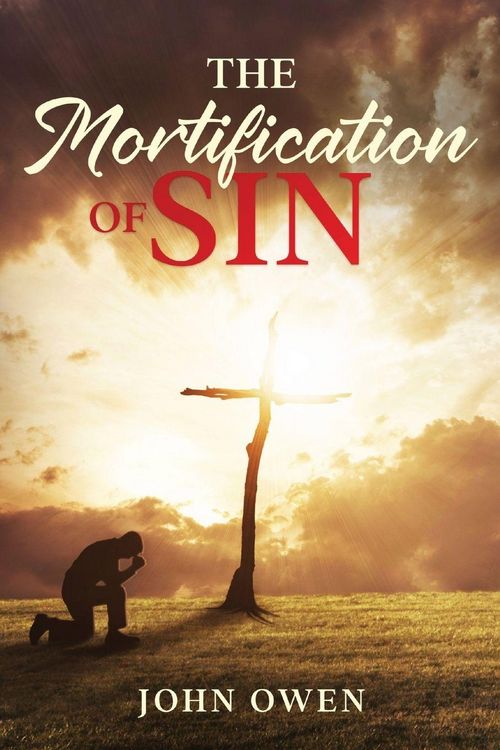 Produktbild: The Mortification of Sin