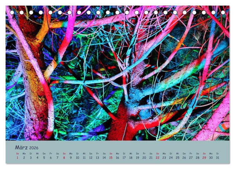 Produktbild: Leuchtfarben (Tischkalender 2026 DIN A5 quer), CALVENDO Monatskalender