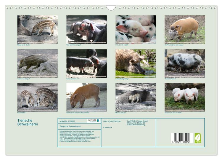Produktbild: Tierische Schweinerei (Wandkalender 2026 DIN A3 quer), CALVENDO Monatskalender
