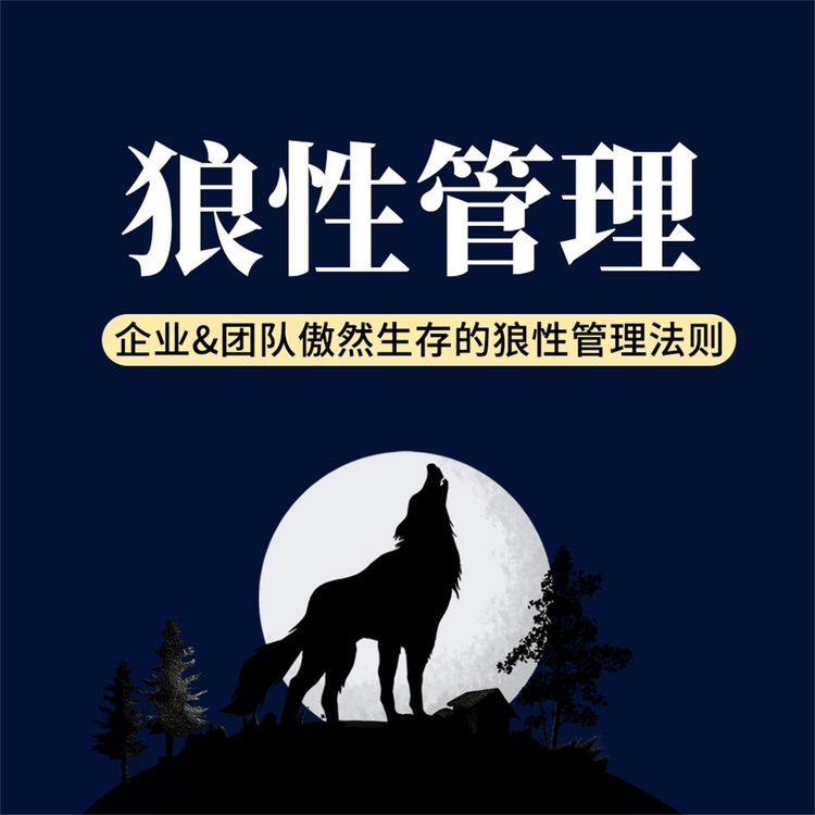 Produktbild: 狼性管理：企业&团队傲然生存的狼性管理法则