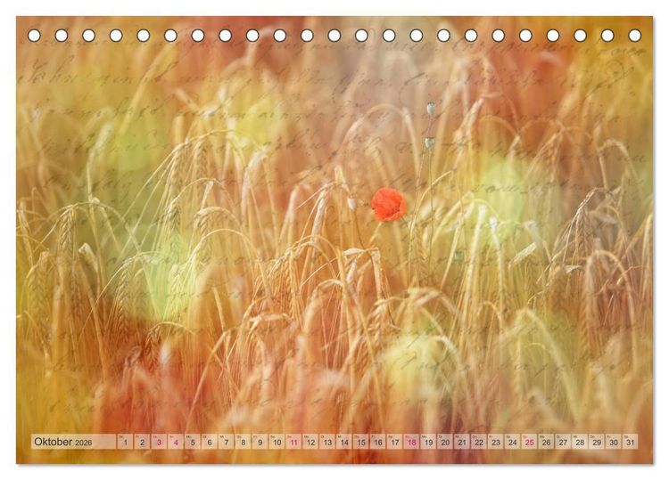 Produktbild: Vintage Nature - Romantische Naturaufnahmen (Tischkalender 2026 DIN A5 quer), CALVENDO Monatskalender