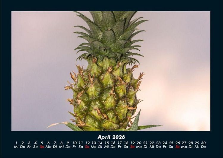 Produktbild: Obstkalender 2026 Fotokalender DIN A4