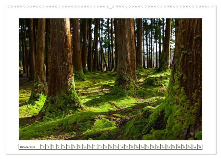 Produktbild: S&atilde;o Miguel - Natursch&ouml;nheit der Azoren (Wandkalender 2026 DIN A2 quer), CALVENDO Monatskalender