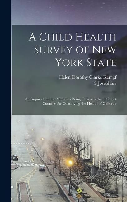 Produktbild: A Child Health Survey of New York State; an Inquiry Into the Measures Being Taken in the Different Counties for Conserving the Health of Children