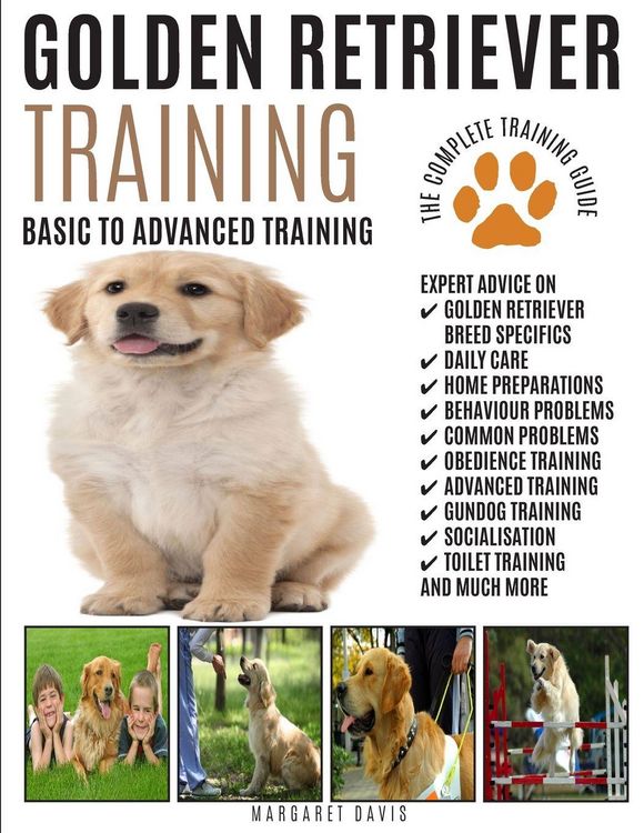 Produktbild: GOLDEN RETRIEVER TRAINING