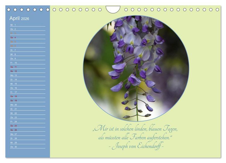 Produktbild: Flora in royalem Blau (Wandkalender 2026 DIN A4 quer), CALVENDO Monatskalender