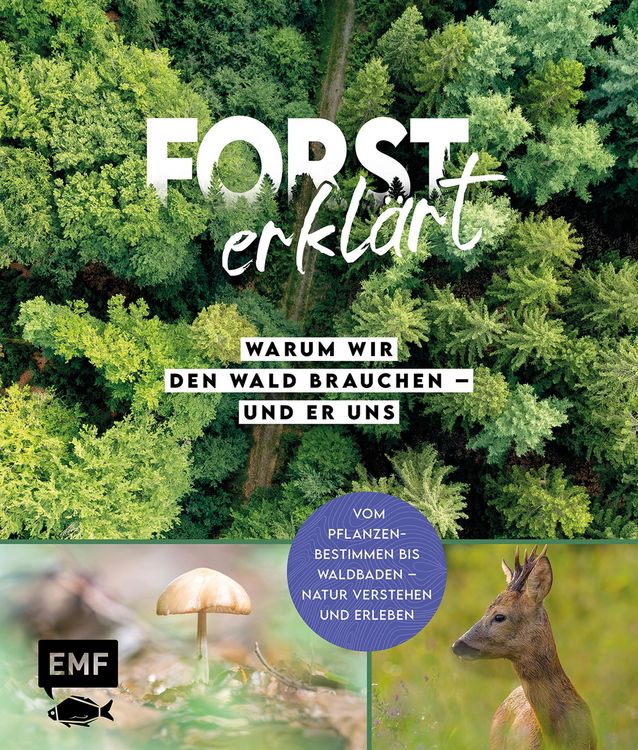 Produktbild: Forst erkl&auml;rt: Warum wir den Wald brauchen - und er uns