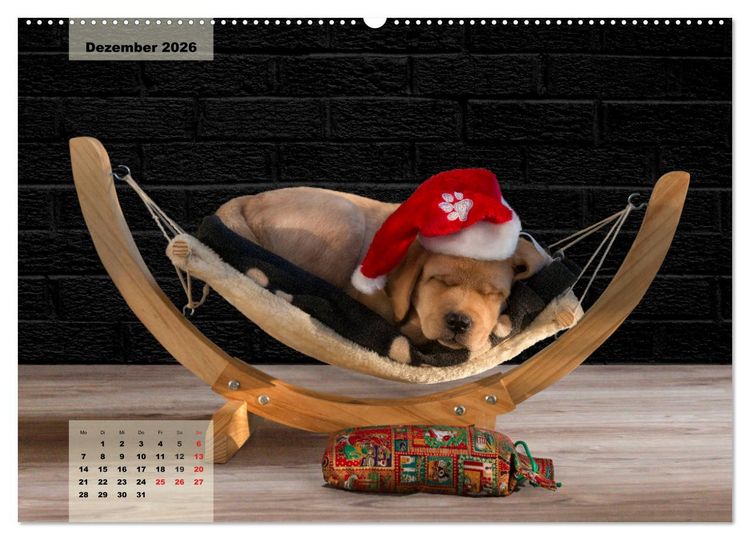 Produktbild: Welpenspa&szlig; (Wandkalender 2026 DIN A2 quer), CALVENDO Monatskalender