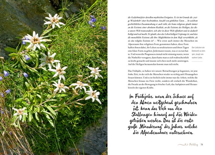 Produktbild: Die Alpenphilosophie