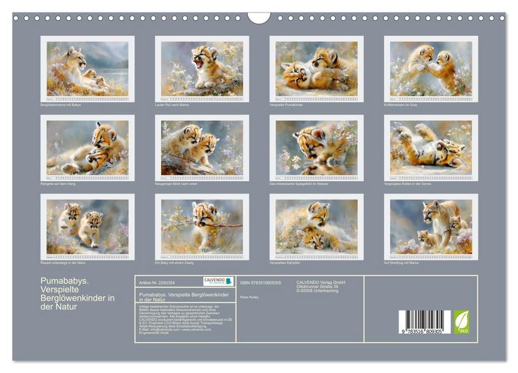 Produktbild: Pumababys. Verspielte Bergl&ouml;wenkinder in der Natur (Wandkalender 2027 DIN A3 quer), CALVENDO Monatskalender