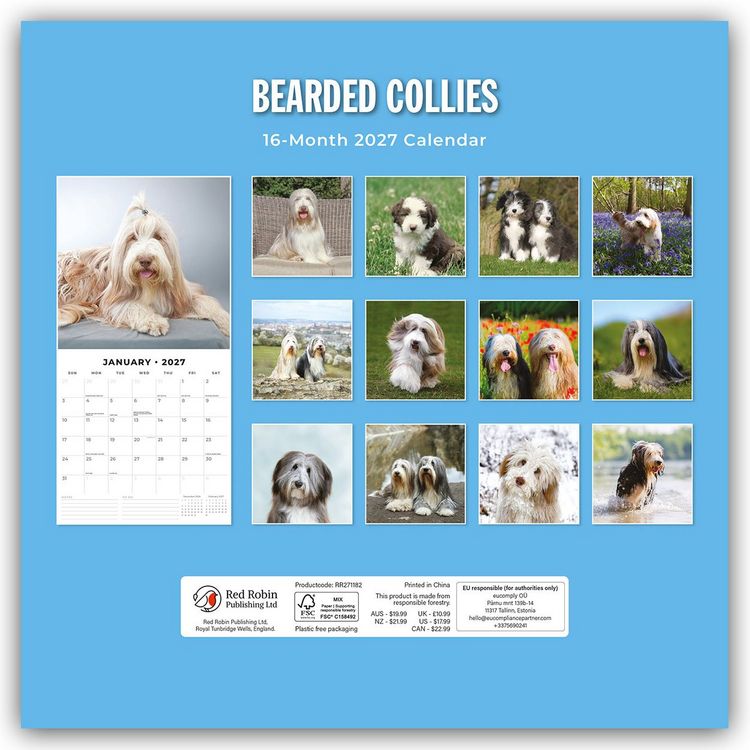 Produktbild: Bearded Collies &ndash; Bearded Collie 2027 &ndash; 16-Monatskalender