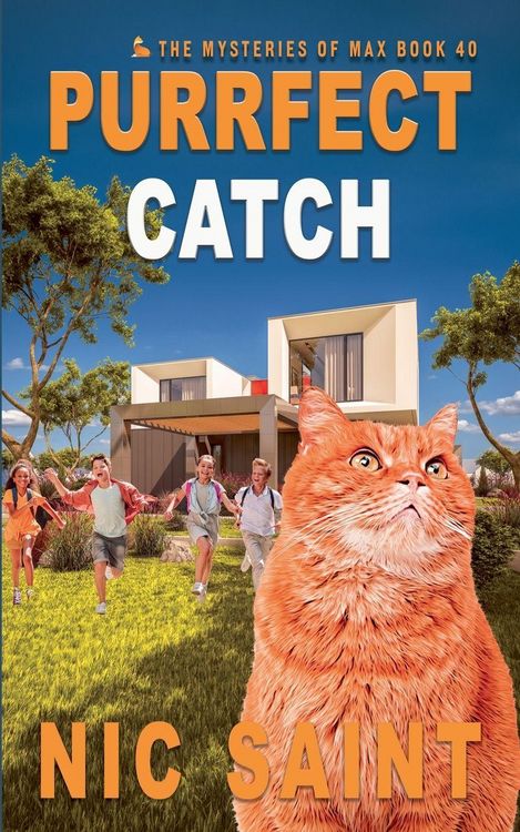 Produktbild: Purrfect Catch