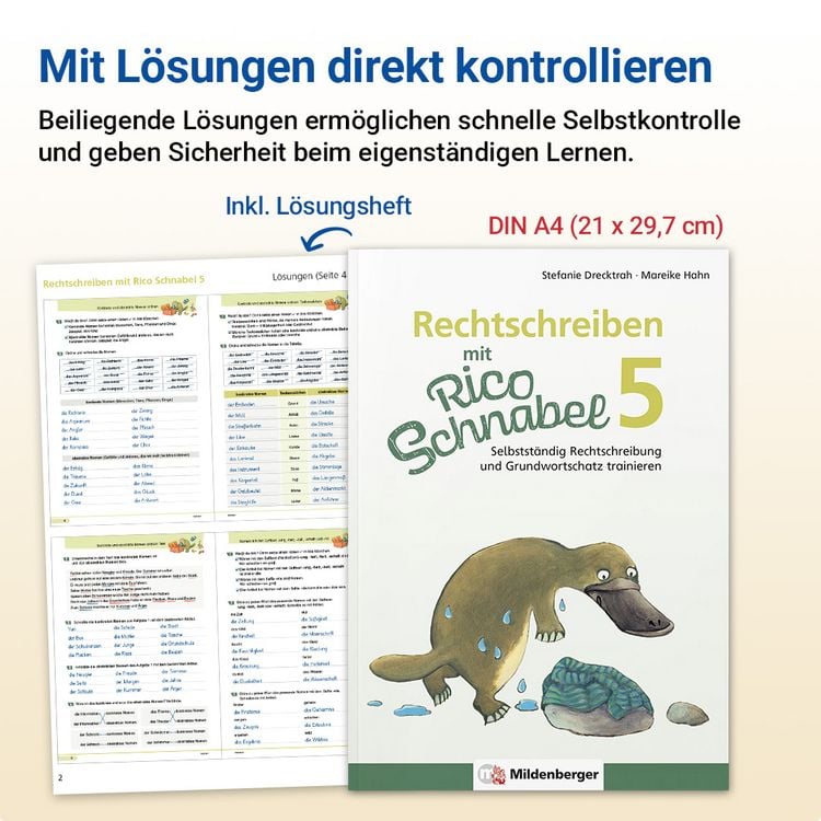 Produktbild: Rechtschreiben mit Rico Schnabel, Klasse 5