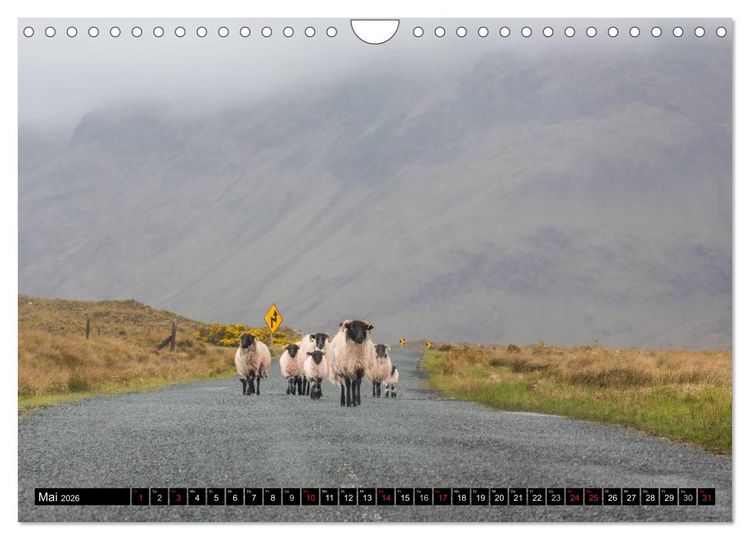 Produktbild: Irland Impressionen S&uuml;dwesten und Westen (Wandkalender 2026 DIN A4 quer), CALVENDO Monatskalender