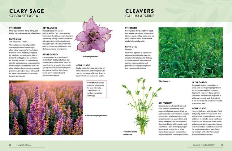 Produktbild: Plants That Heal Hb