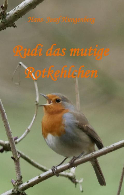 Produktbild: Rudi das mutige Rotkehlchen