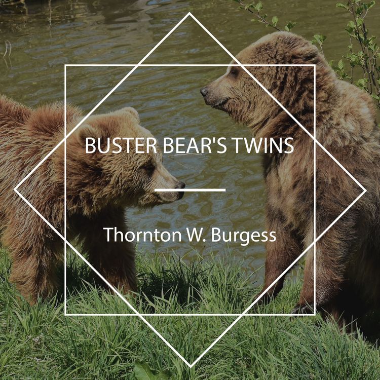 Produktbild: Buster Bear's Twins