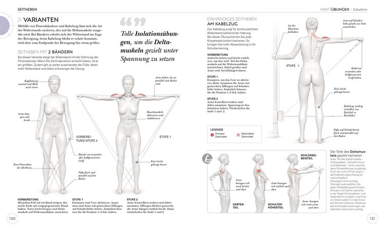 Produktbild: Krafttraining &ndash; Die Anatomie verstehen