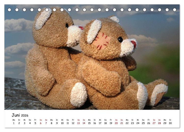Produktbild: Allerliebste Teddyb&auml;ren (Tischkalender 2026 DIN A5 quer), CALVENDO Monatskalender