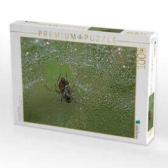 Produktbild: CALVENDO Puzzle Spinnennetz mit Tautropfen | 1000 Teile Lege-Gr&ouml;&szlig;e 64x48cm Foto-Puzzle f&uuml;r gl&uuml;ckliche Stunden