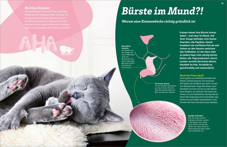 Produktbild: WAS IST WAS Katzen. Eigenwillige Schnurrer