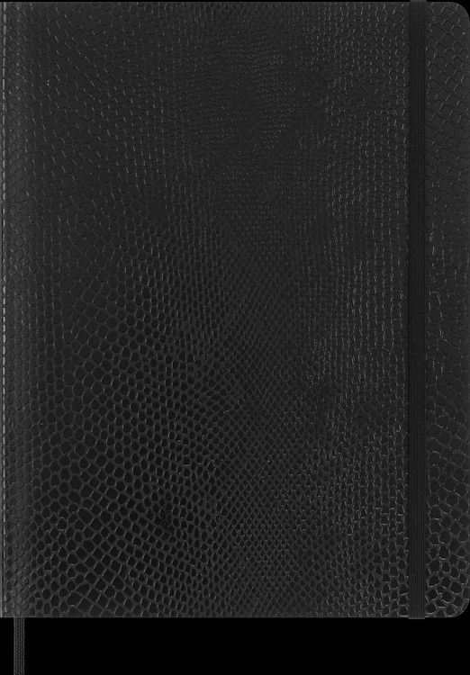Produktbild: Moleskine Vegea Notizb&uuml;cher (2x), XL, liniert, weicher Einband, schwarz und Capri Petroleum