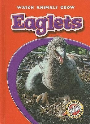 Produktbild: Eaglets