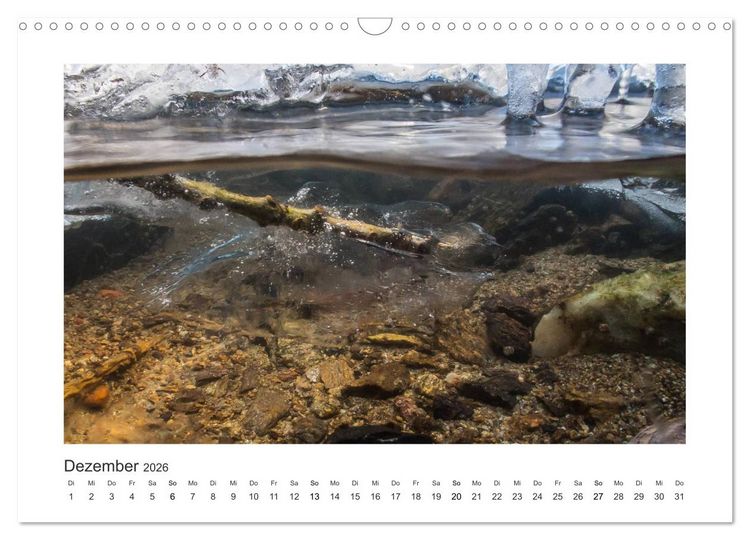 Produktbild: Unter Wasser in B&auml;chen und Fl&uuml;ssen (Wandkalender 2026 DIN A3 quer), CALVENDO Monatskalender