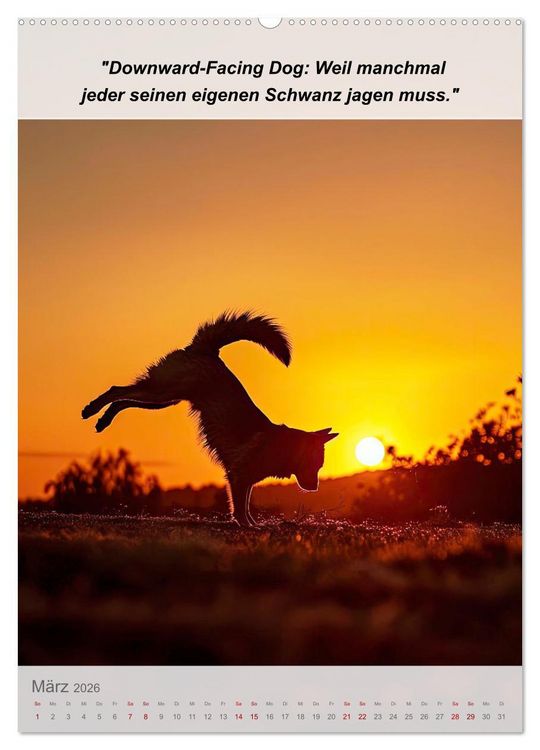Produktbild: Ein tierisches Yoga-Abenteuer (hochwertiger Premium Wandkalender 2026 DIN A2 hoch), Kunstdruck in Hochglanz