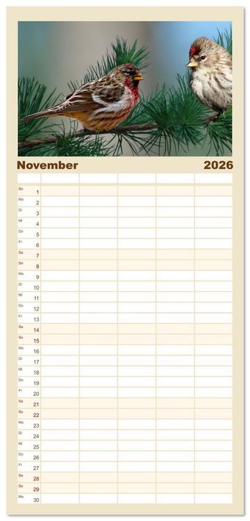 Produktbild: Familienplaner 2026 - Deutschlands Finken mit 5 Spalten (Wandkalender, 21 x 45 cm) CALVENDO