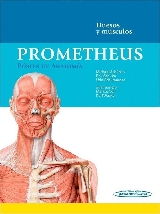 Produktbild: Prometheus : p&oacute;ster de anatom&iacute;a : huesos y m&uacute;sculos