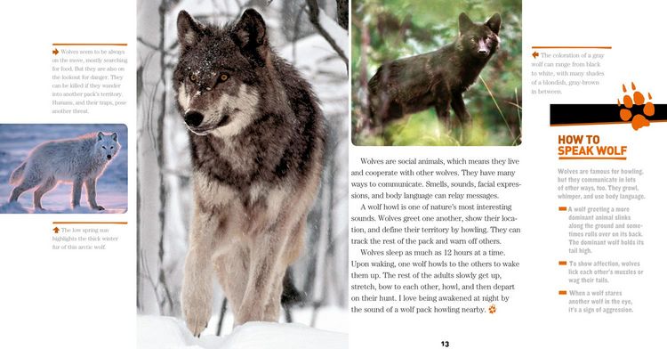 Produktbild: Face to Face with Wolves