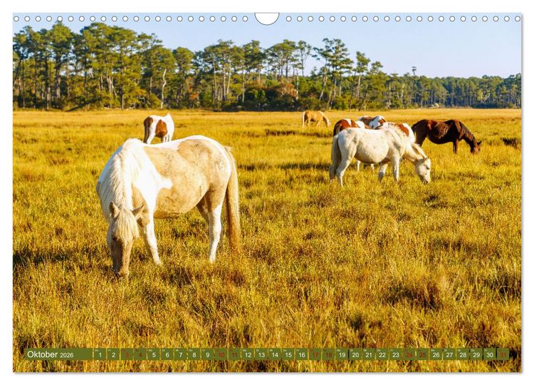 Produktbild: Virginia. Amerikanische Sch&ouml;nheit zwischen K&uuml;ste und Bergen (Wandkalender 2026 DIN A3 quer), CALVENDO Monatskalender