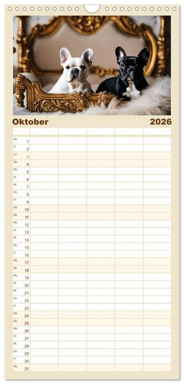 Produktbild: Familienplaner 2026 - Kleine K&ouml;nige - Franz&ouml;sische Bulldoggen mit 5 Spalten (Wandkalender, 21 x 45 cm) CALVENDO