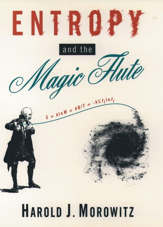 Produktbild: Entropy and the Magic Flute