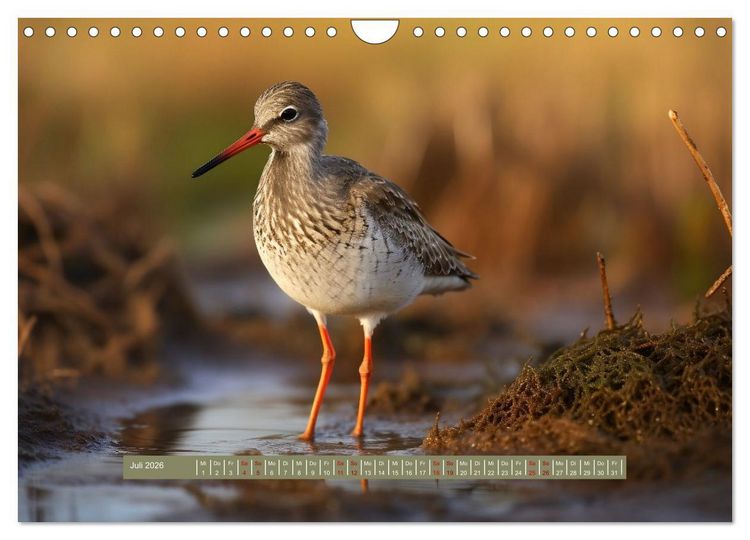 Produktbild: Biotop zwischen Land und Meer (Wandkalender 2026 DIN A4 quer), CALVENDO Monatskalender