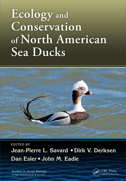 Produktbild: Ecology and Conservation of North American Sea Ducks