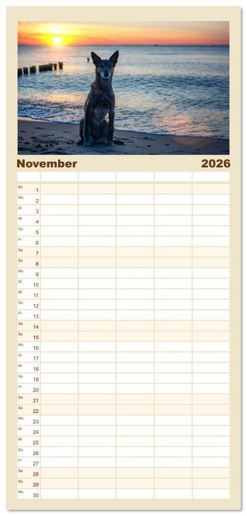 Produktbild: Familienplaner 2026 - Mit dem Malinois durch das Jahr mit 5 Spalten (Wandkalender, 21 x 45 cm) CALVENDO