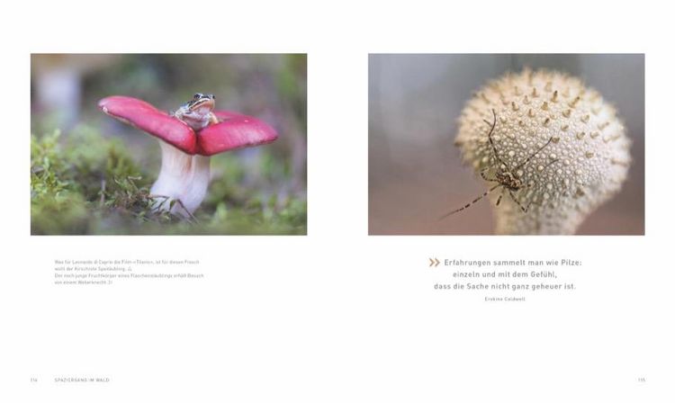 Produktbild: Verborgene Wildnis Bayern