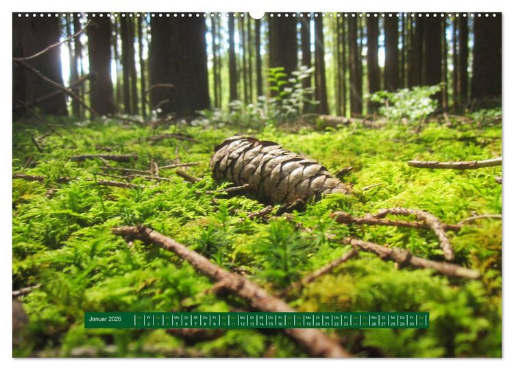 Produktbild: Unterwegs im Deister (hochwertiger Premium Wandkalender 2026 DIN A2 quer), Kunstdruck in Hochglanz