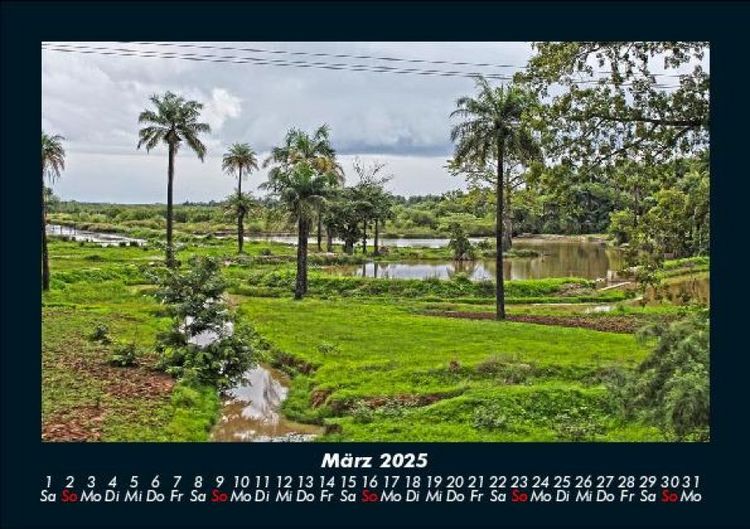 Produktbild: Palmentraum 2025 Fotokalender DIN A5