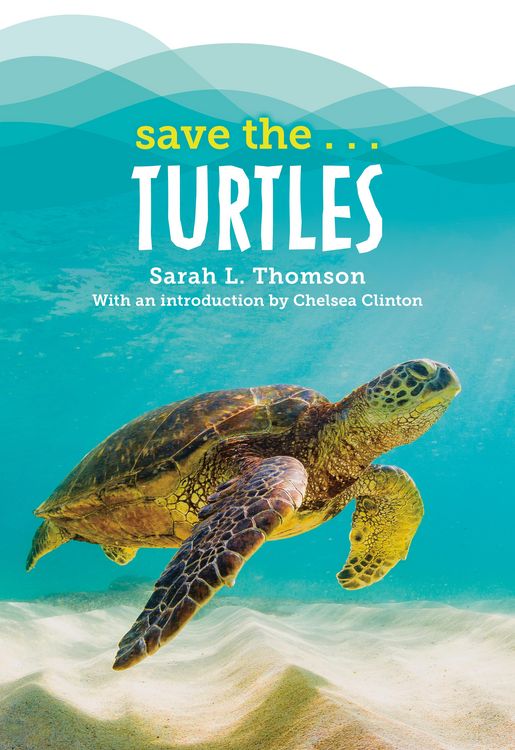 Produktbild: Save the...Turtles