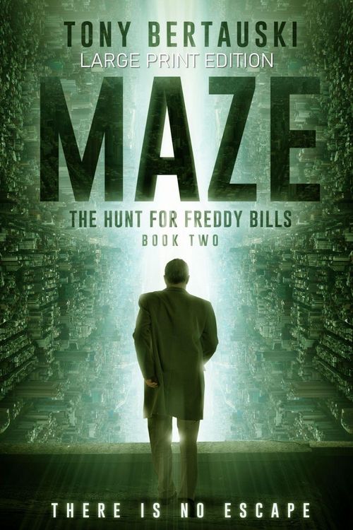 Produktbild: Maze (Large Print Edition)