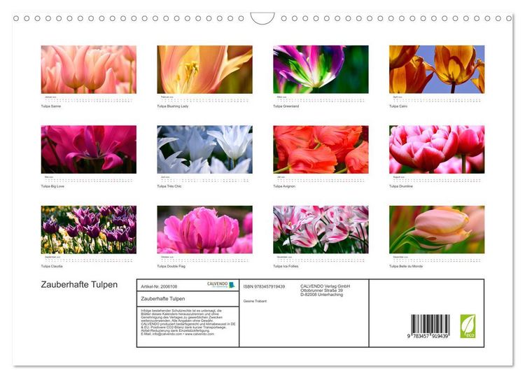 Produktbild: Zauberhafte Tulpen (Wandkalender 2026 DIN A3 quer), CALVENDO Monatskalender